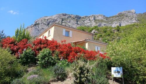 Standard Double Room with Shared Bathroom