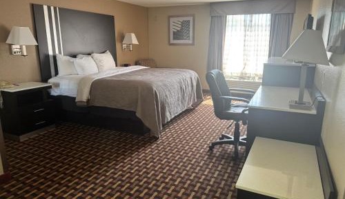 King Room  - Non-Smoking