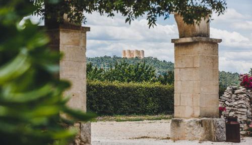 King Room with Roll-In Shower - Disability Access