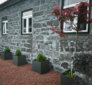 One-Bedroom Premium Apartment