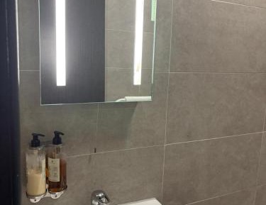 Deluxe One-Bedroom Apartment