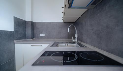 One-Bedroom Deluxe Apartment