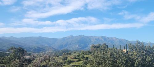 Two-Bedroom Apartment with Mountain View