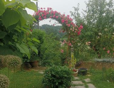 Deluxe Room (2 Adults + 1 Child)