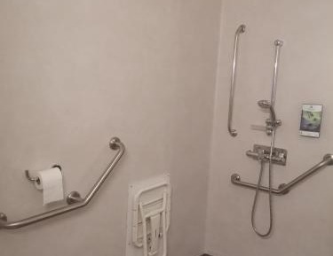 Queen Room with Roll-In Shower - Mobility Accessible/Non-Smoking
