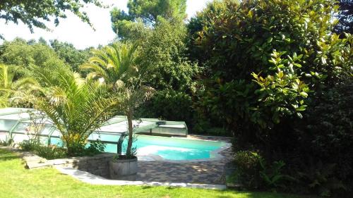 King Room with Pool View