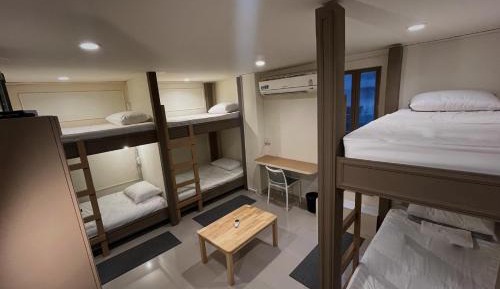 Bunk Bed in Mixed Dormitory Room