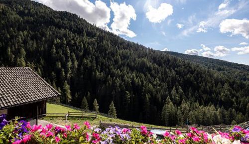 Two-Bedroom Superior Apartment