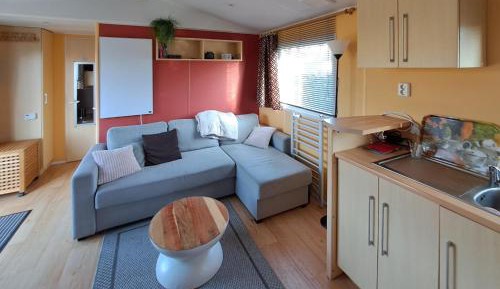 Mobile Home