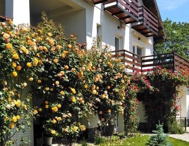 Double or Twin Room with Balcony