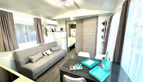 Mobile Home