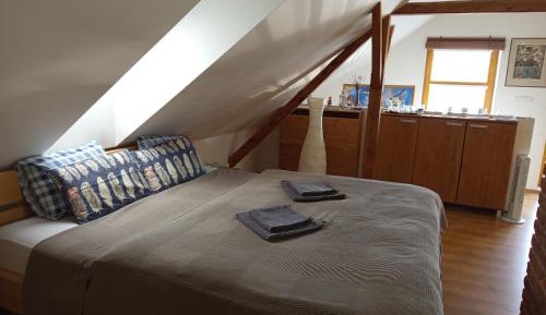 Deluxe Double Room with Shower