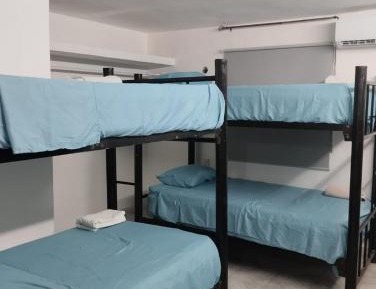 Bed in 4-Bed Dormitory Room