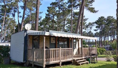 Mobile Home
