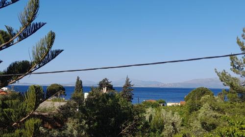 One-Bedroom Apartment with Sea View