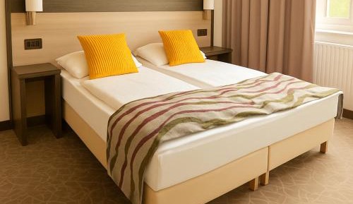 One-Bedroom Apartment with Sofa Bed