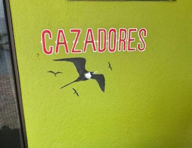 Queen Room with Pool View