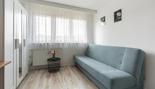 Studio with Sofa Bed
