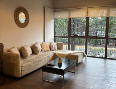 Junior Suite with Terrace