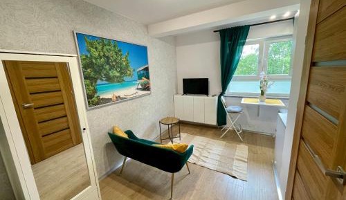 Studio with Sofa Bed