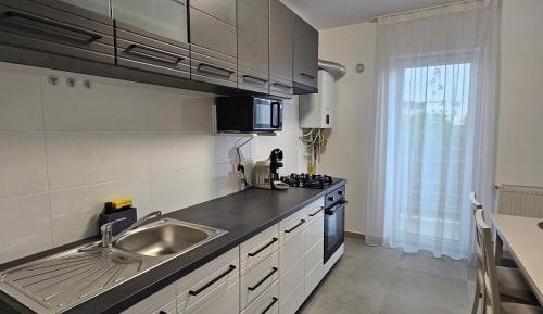 One-Bedroom Apartment with City View