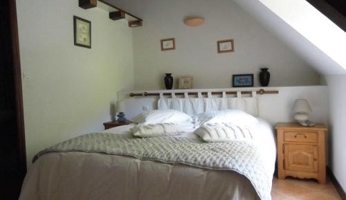 King Room with Garden View