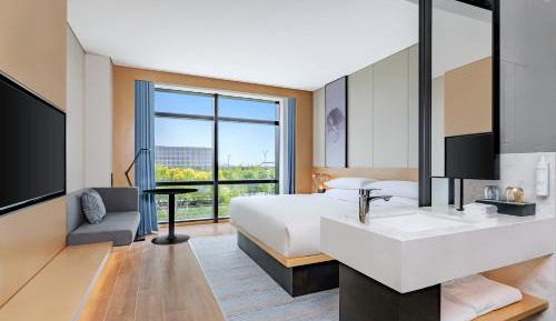 Standard King Room with City View