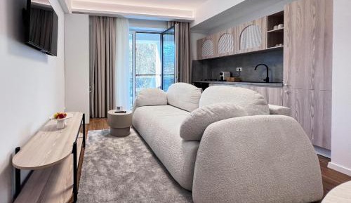 One-Bedroom Apartment with Park View