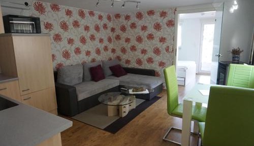 One-Bedroom Apartment with Shower