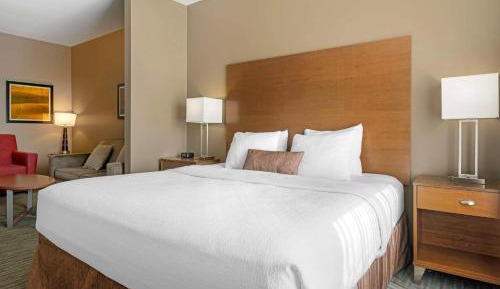 King Suite with Sofa Bed - Non-Smoking