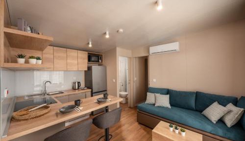 Mobile Home