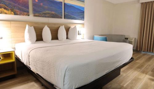 King Room with Roll-in Shower - Mobility Access/Non-Smoking