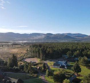Spacious Forest Lodge 1 - Pet-Friendly