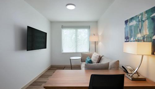 One-Bedroom King Suite with Sofa Bed 