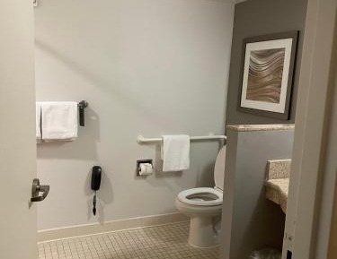 King Room with Sofa Bed and Roll-in Shower - Mobility and Hearing Accessible
