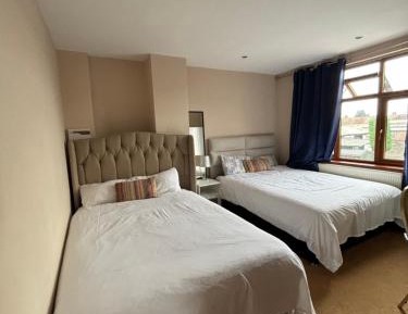 Deluxe Double or Twin Room