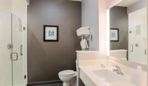 King Suite with Sofa Bed