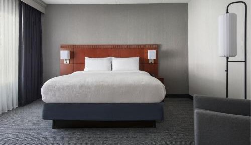 Suite, 1 King, Sofa bed