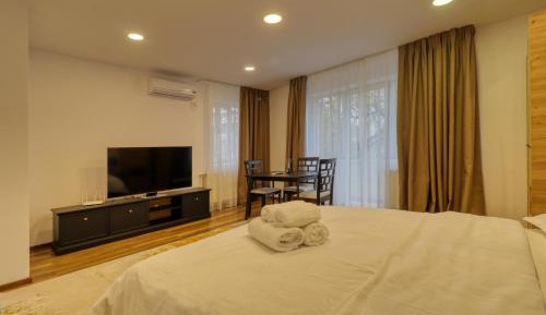 One-Bedroom Apartment with Balcony