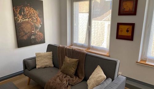 Appartement 1 chambre