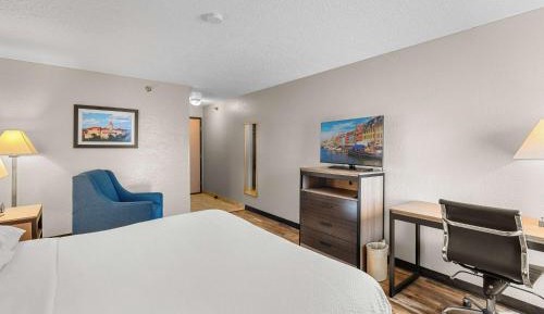 King Room - Non-Smoking