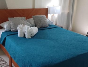 Deluxe One-Bedroom Apartment