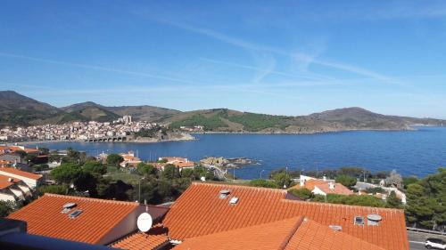 One-Bedroom Apartment with Sea View and Terrace