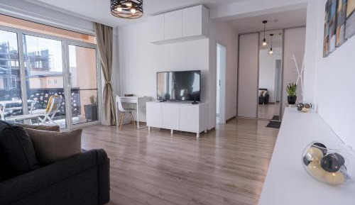 Deluxe One-Bedroom Apartment