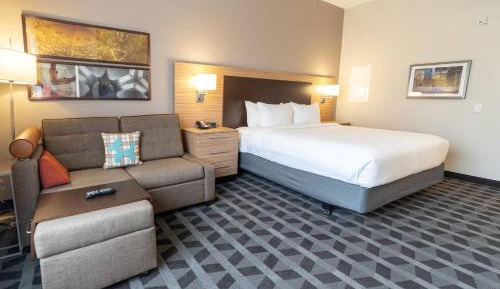 Studio, 1 King, Sofa bed