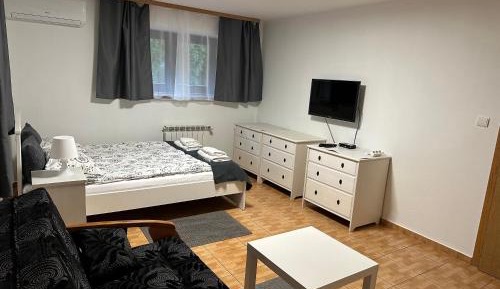 Family Room with Private Bathroom