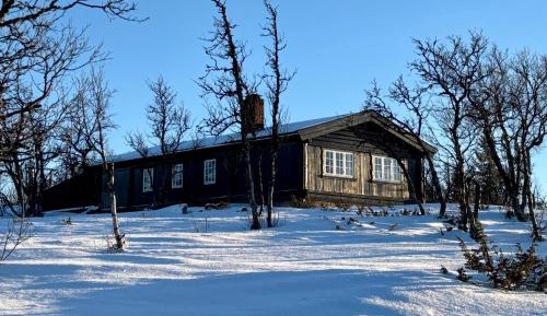 Four-Bedroom Holiday Home