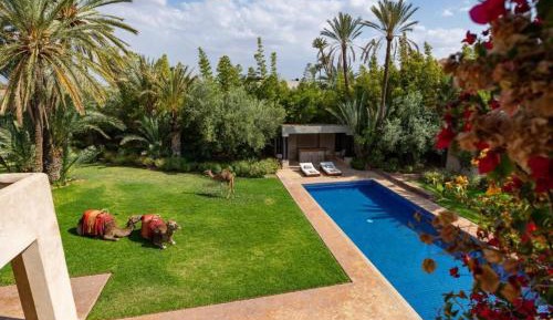 Deluxe Villa