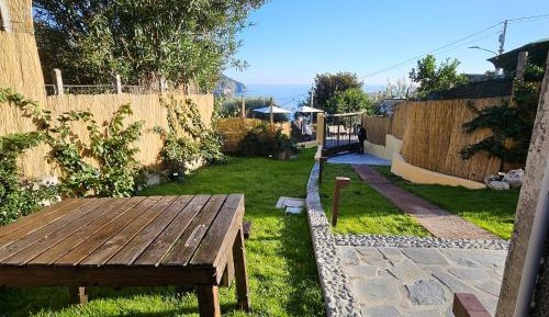 Queen Suite with Spa Bath