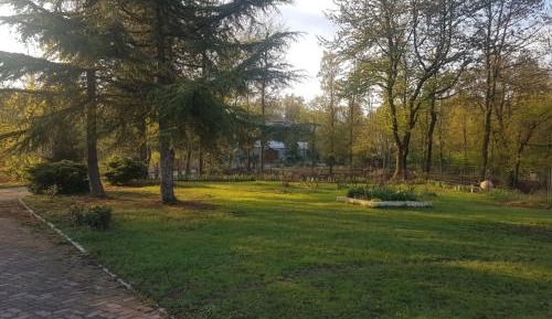 Two-Bedroom Apartment with Terrace